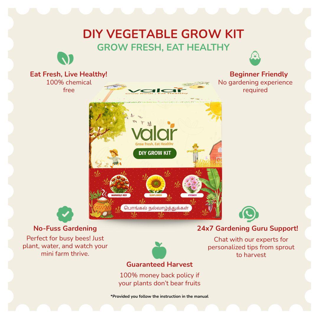 DIY Pongal Celebration Kit