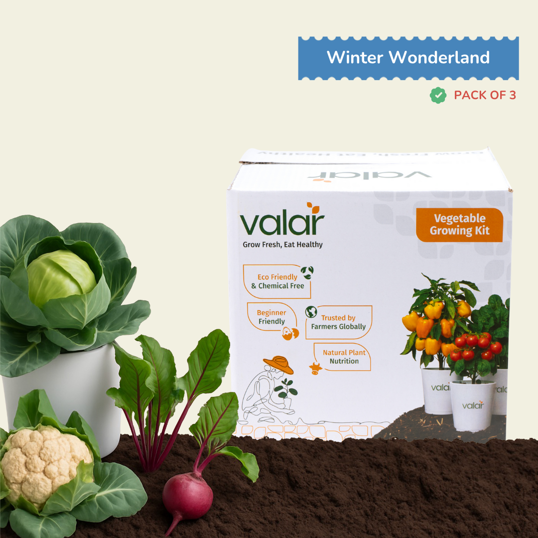 🌿 Winter Vegetable Wonderland Kit