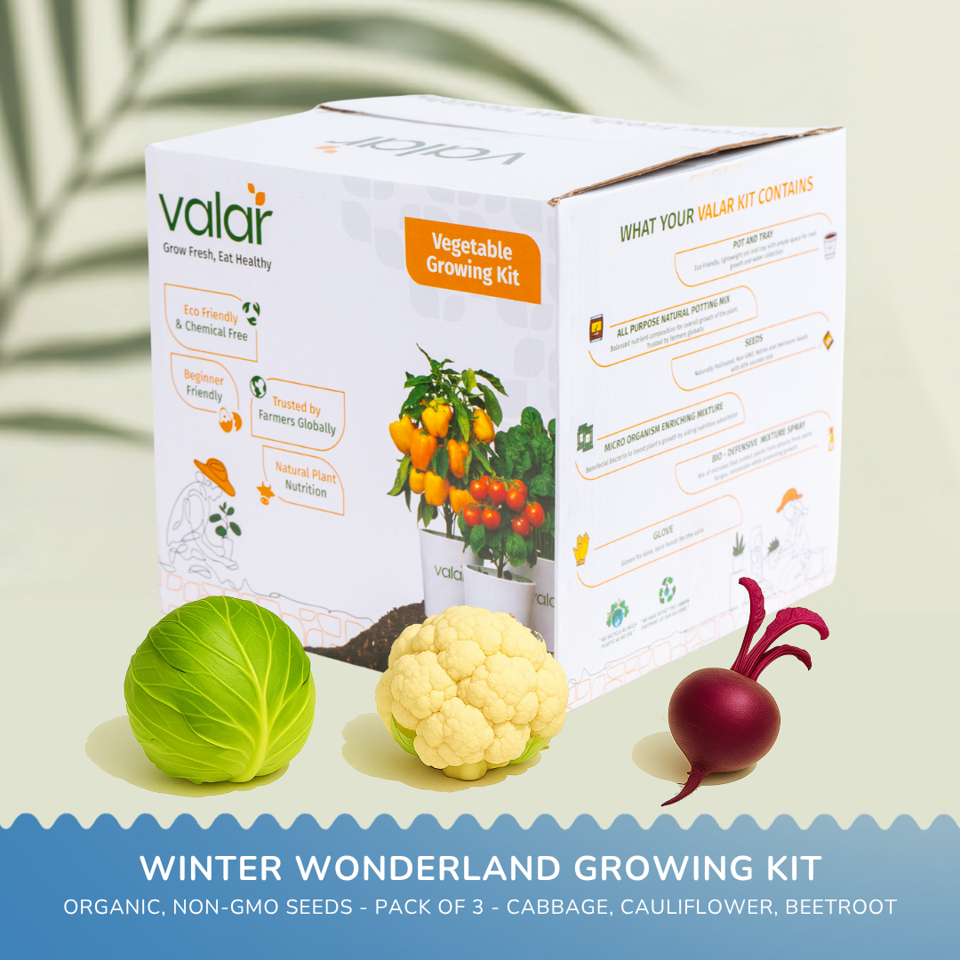 🌿 Winter Vegetable Wonderland Kit