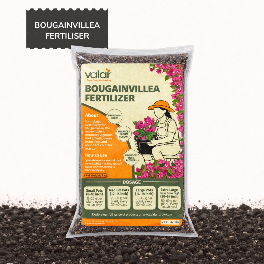 Bougainvillea Fertilizer