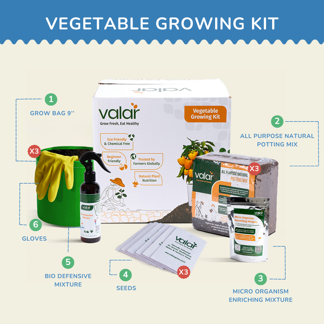 🌿 Winter Vegetable Wonderland Kit