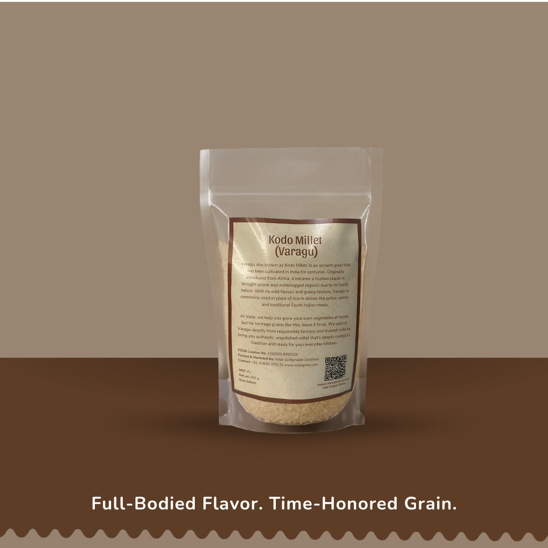 Valar Varagu (Kodo Millet) – 500g | Ancient Grain Superfood | High Protein & Fiber, Gluten-Free, Low Glycemic