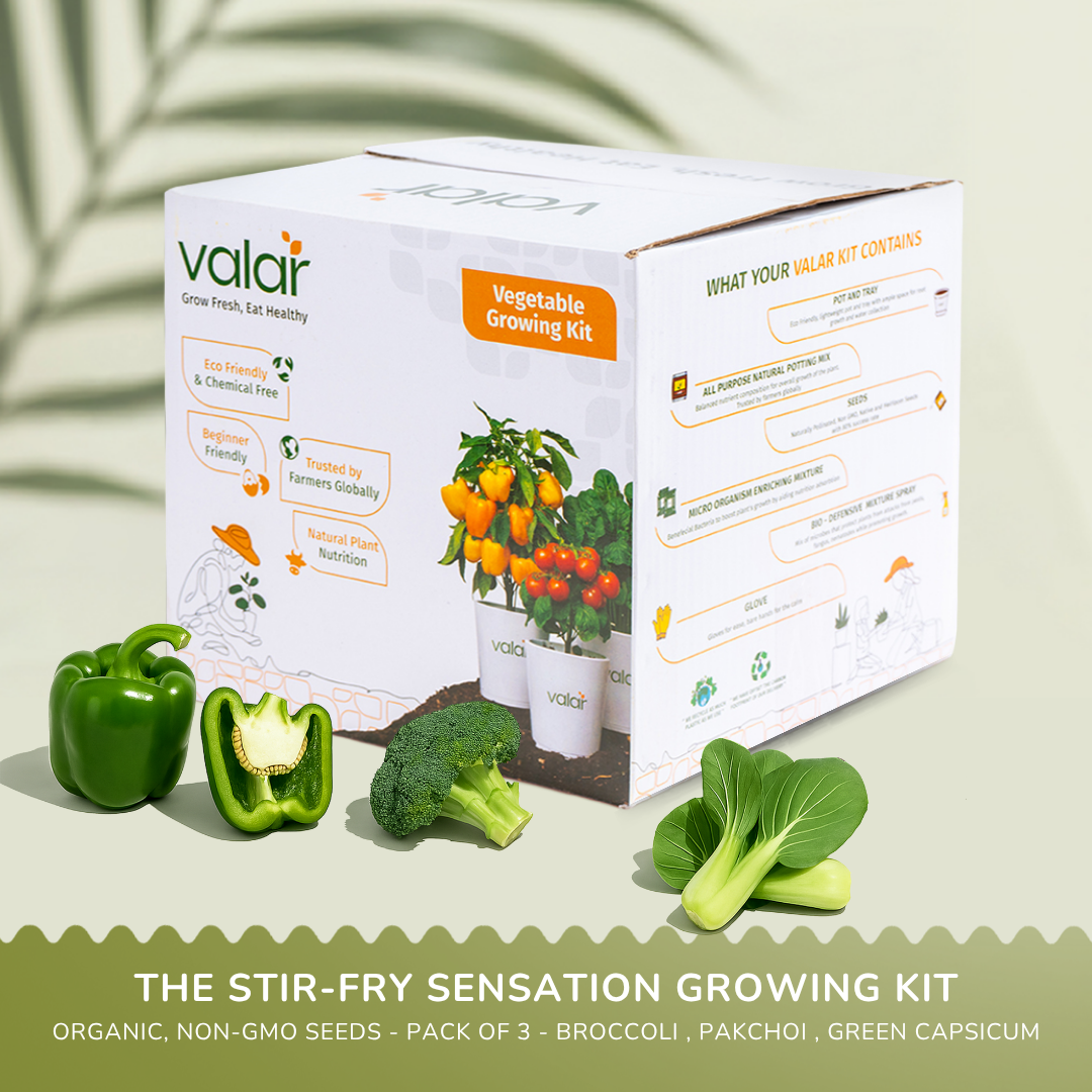 🌿 The Stir-Fry Sensation Growing Kit