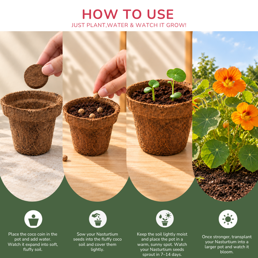 Nastrutium Seed Germination Kit | Eco-Friendly Corporate & Event Gifting Kit | Customisable