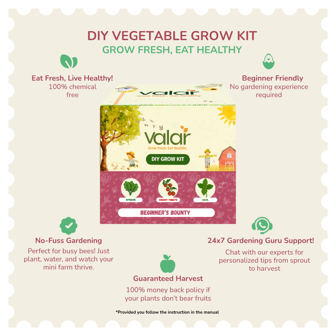 The Beginner’s Bounty Gift Kit