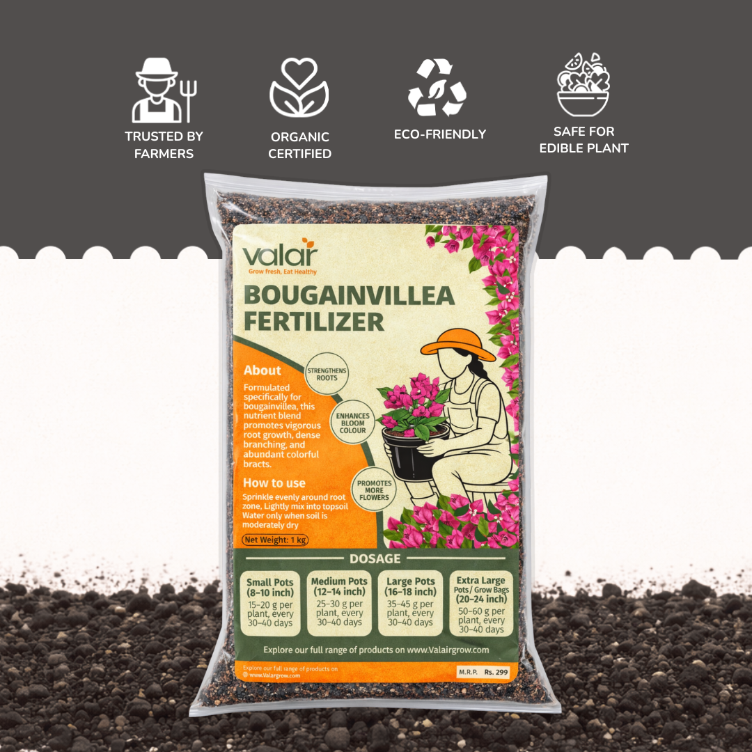 Bougainvillea Fertilizer