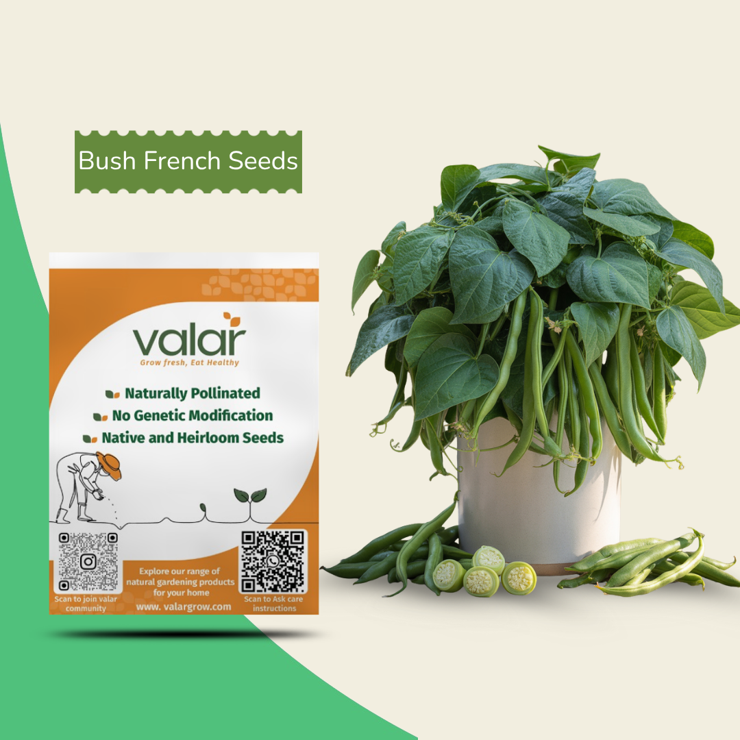 Organic Bush French Beans Seeds