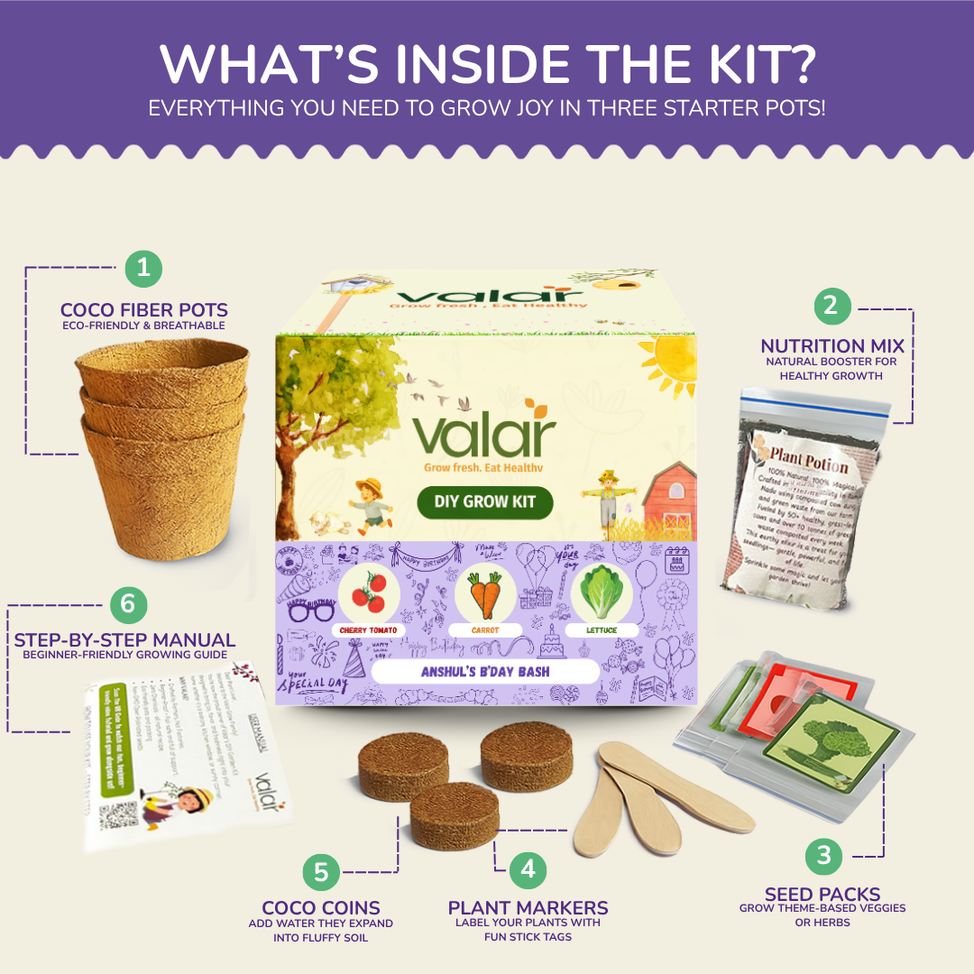 Birthday Return Gift Grow Kit