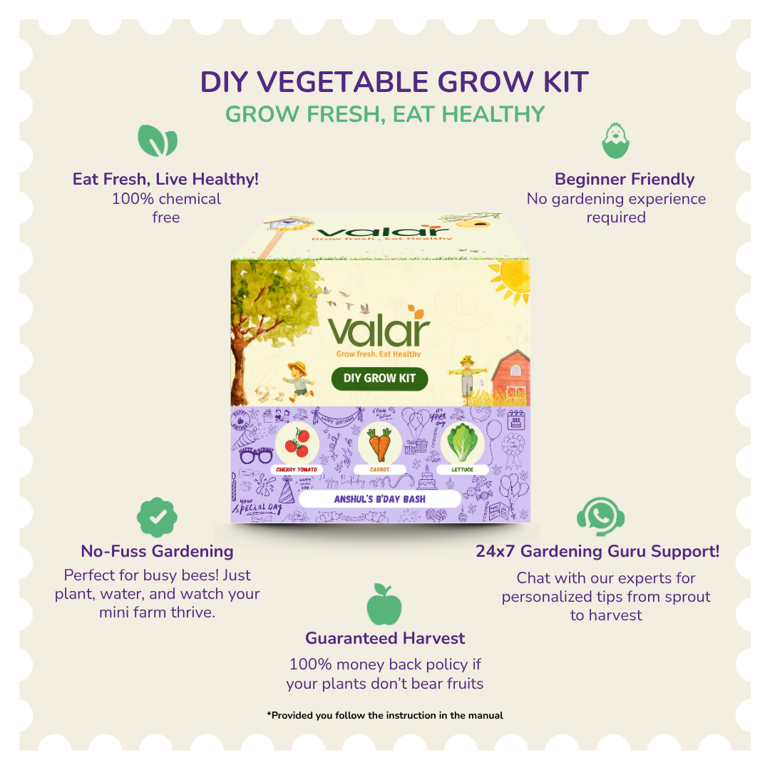 Birthday Return Gift Grow Kit