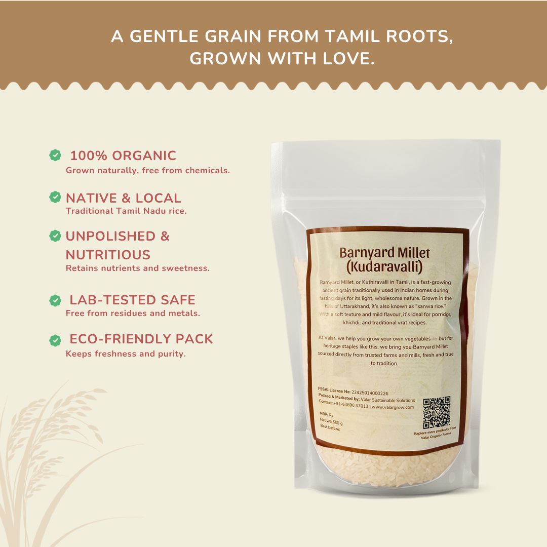 🌾 Valar Kudaravalli (Barnyard Millet) – 500g | Wholesome Ancient Grain | Light, Gluten-Free & Ideal for Diabetic-Friendly Meals