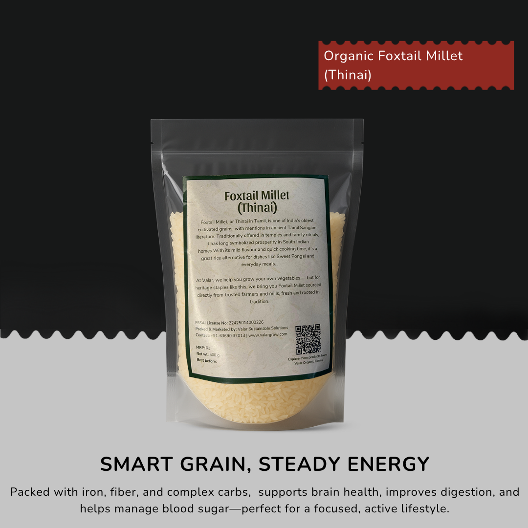 🌾 Valar Thinai (Foxtail Millet) – 500g | High-Fiber Ancient Grain | Gluten-Free, Diabetic-Friendly & Heart-Healthy Millet