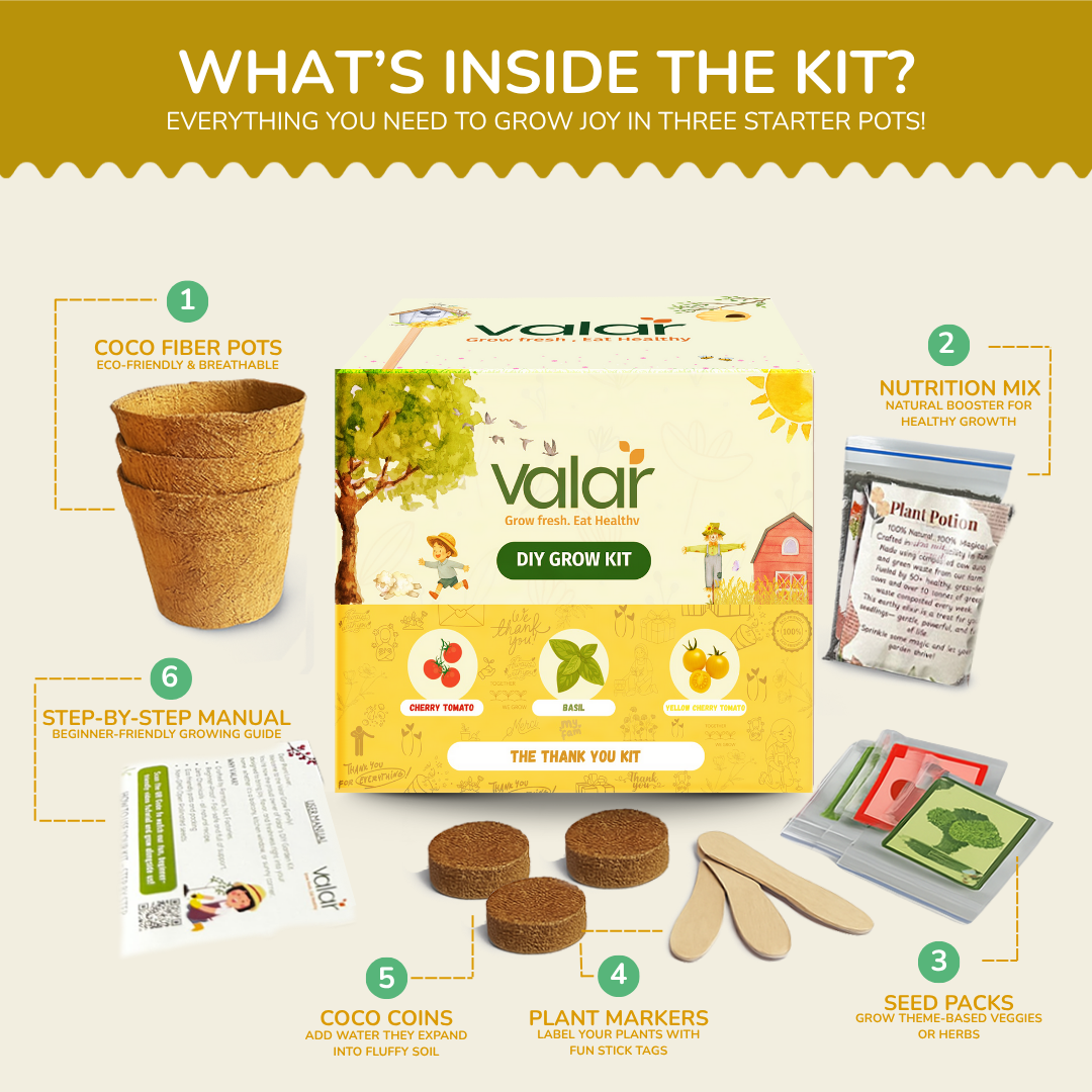 The Thank You Grow Kit