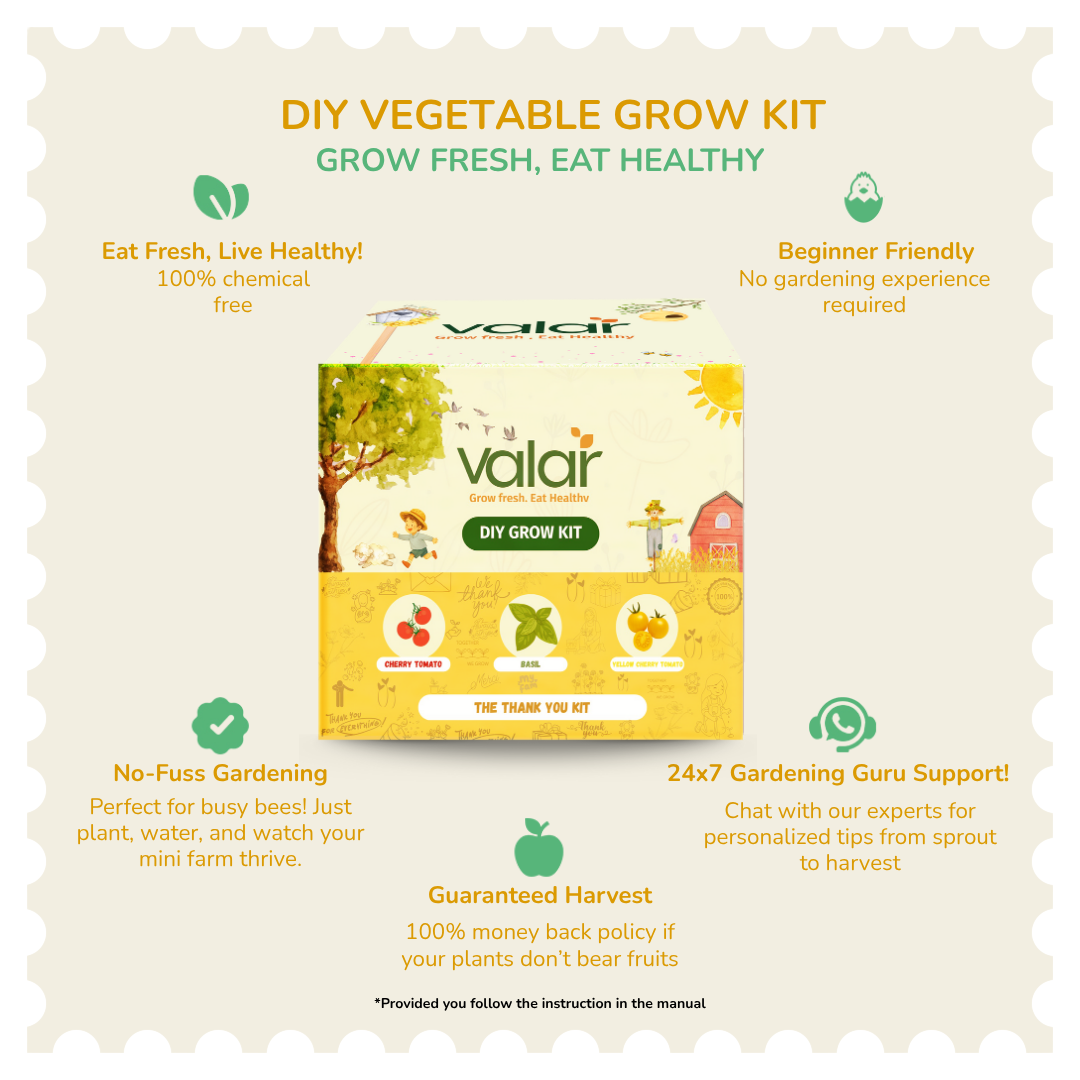 The Thank You Grow Kit