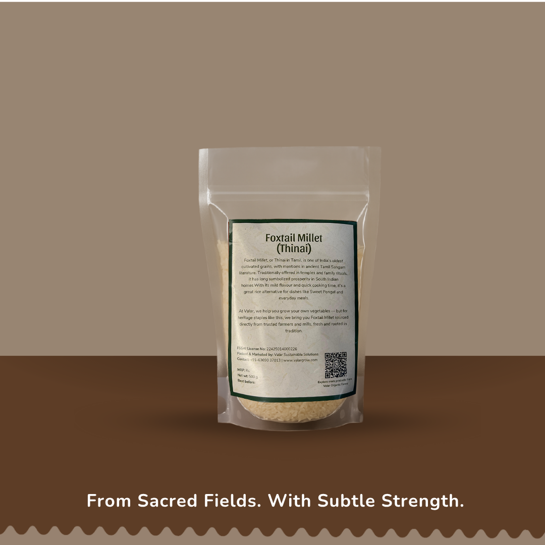 🌾 Valar Thinai (Foxtail Millet) – 500g | High-Fiber Ancient Grain | Gluten-Free, Diabetic-Friendly & Heart-Healthy Millet
