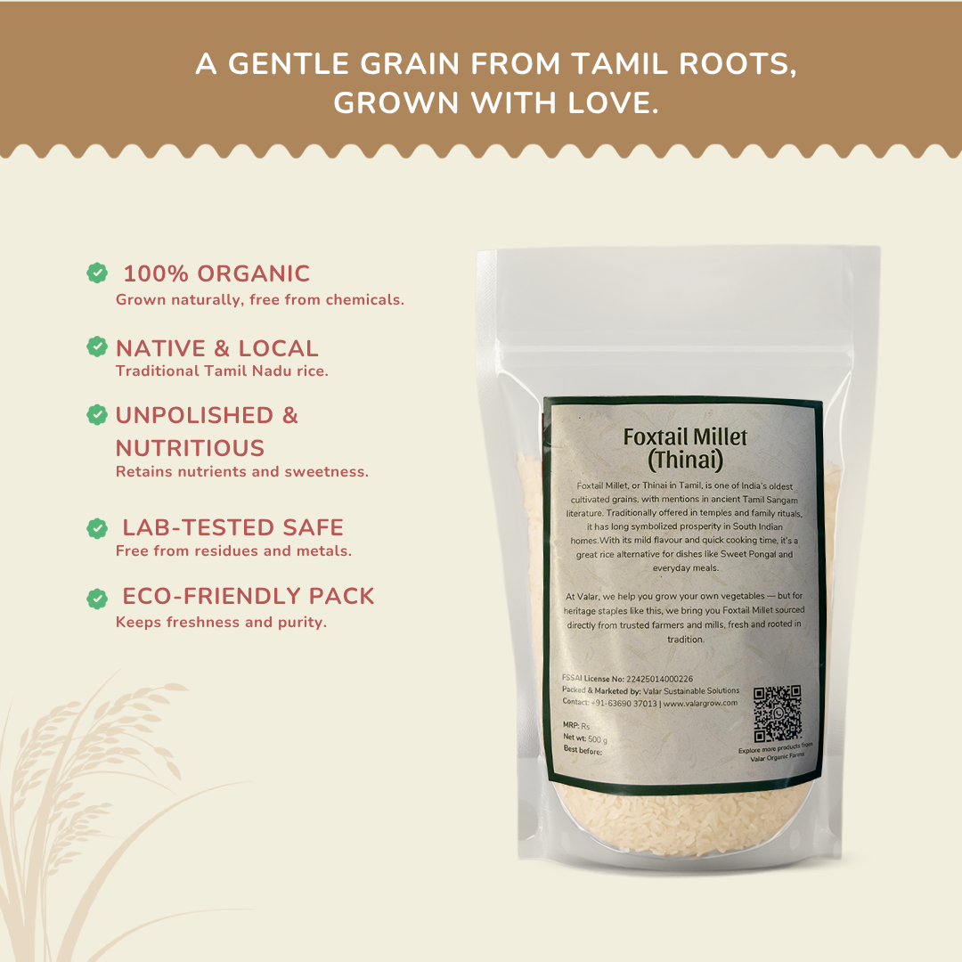 🌾 Valar Thinai (Foxtail Millet) – 500g | High-Fiber Ancient Grain | Gluten-Free, Diabetic-Friendly & Heart-Healthy Millet