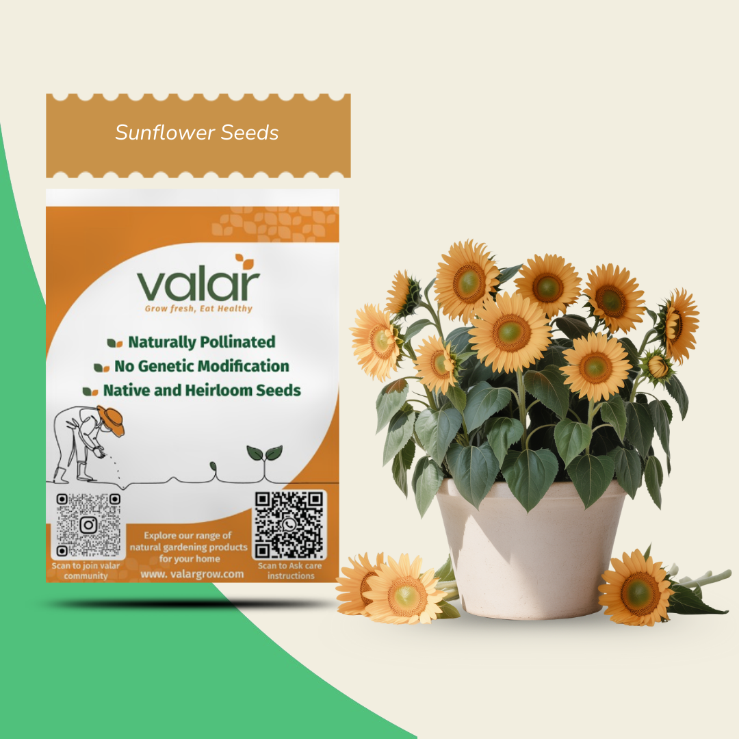 Sunflower Seeds