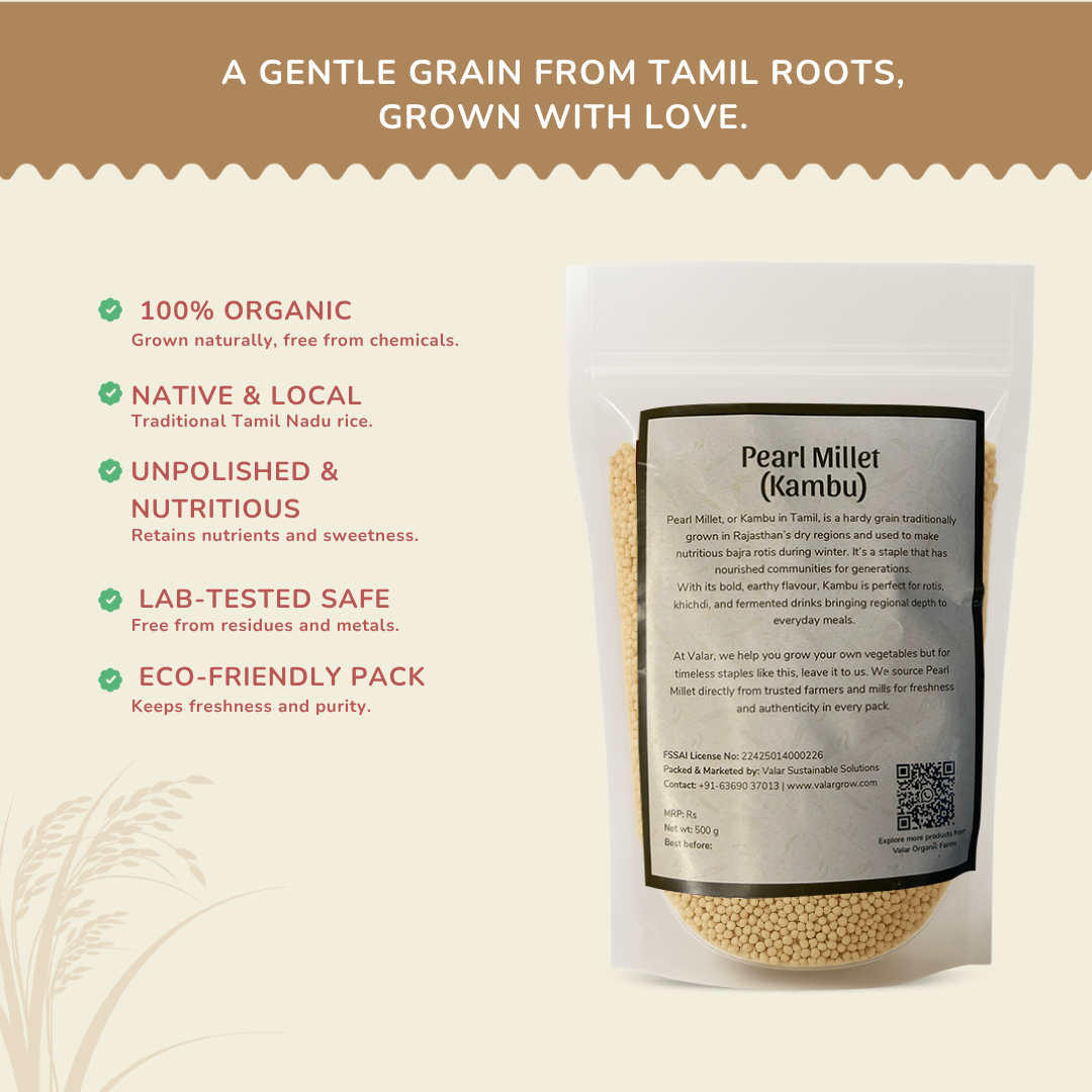 🌾 Valar Kambu (Pearl Millet) – 500g | Traditional Supergrain | Iron-Rich, Gluten-Free & Gut-Friendly Millet