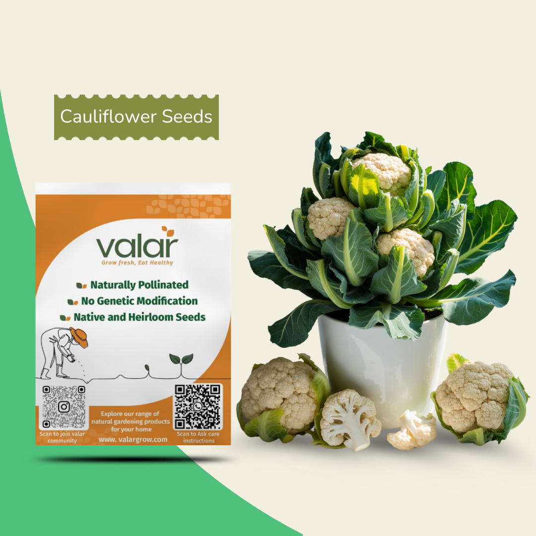 Organic Cauliflower Seeds