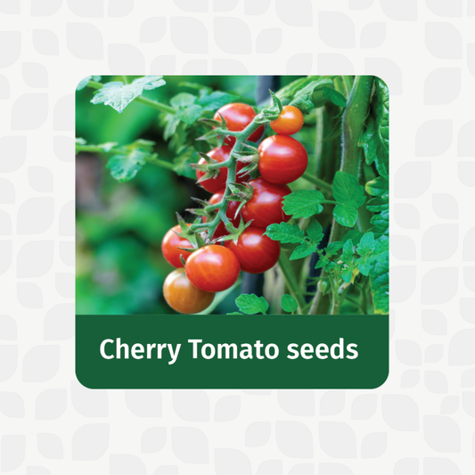 Cherry Tomato Seeds | Open Pollinated Non-GMO seeds