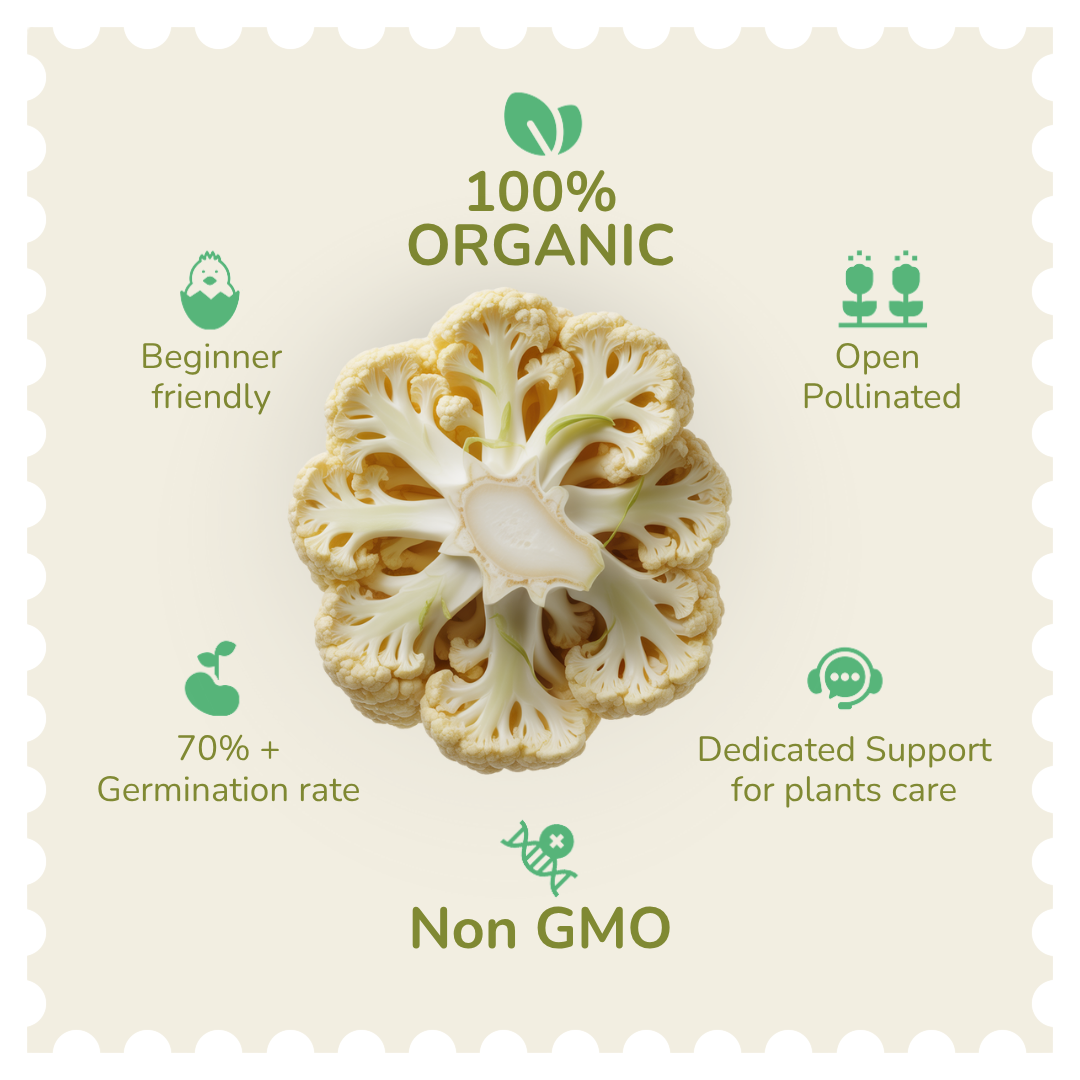 Organic Cauliflower Seeds