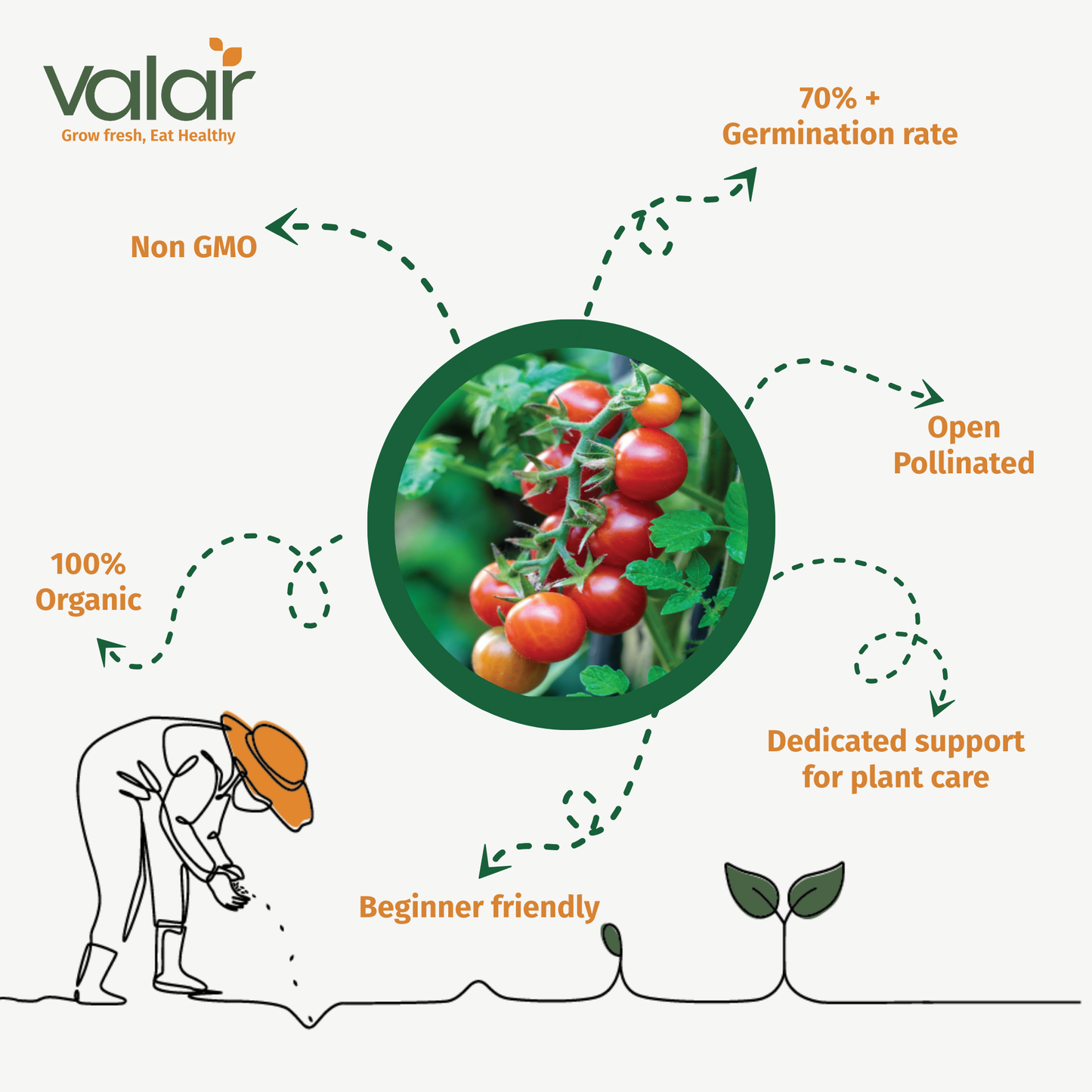 Cherry Tomato Seeds | Open Pollinated Non-GMO seeds