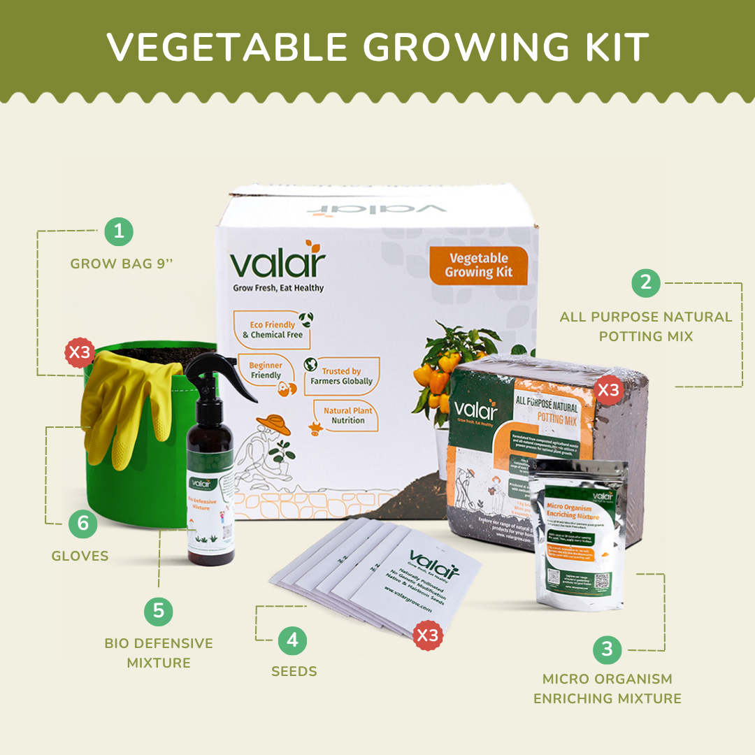 🌿 The Stir-Fry Sensation Growing Kit