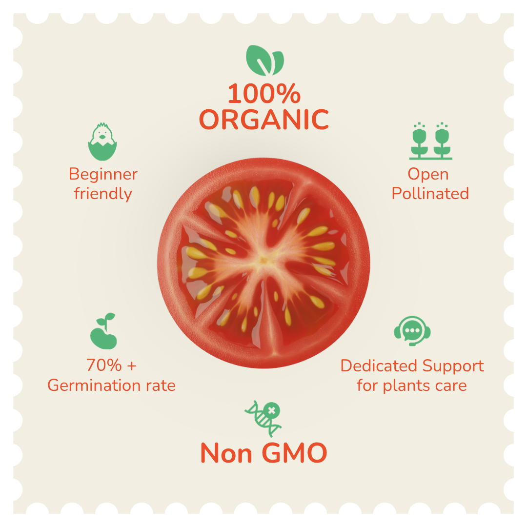 Organic Cherry Tomato Seeds