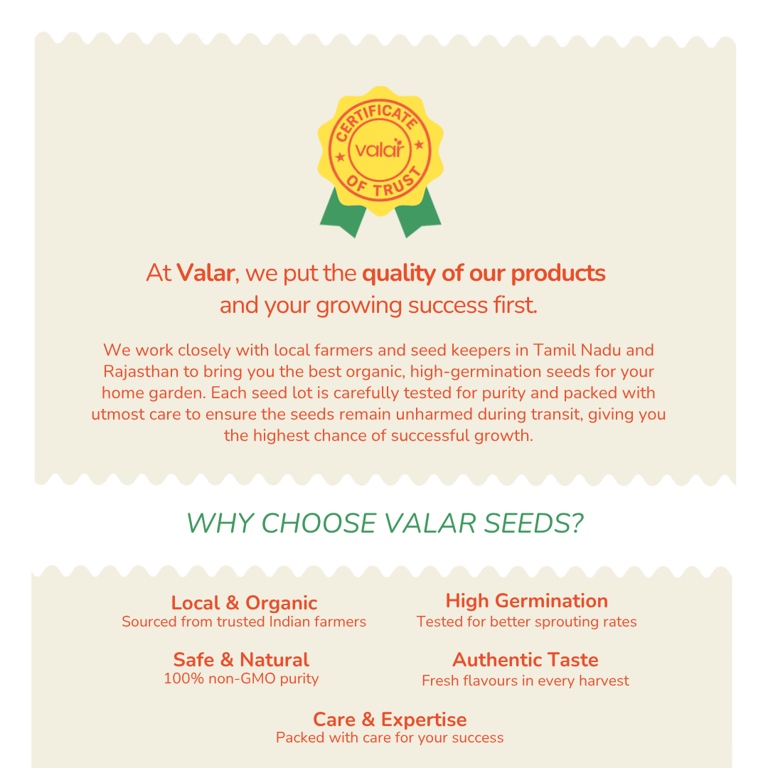 Organic Pink Brandy Wine Tomato Seeds