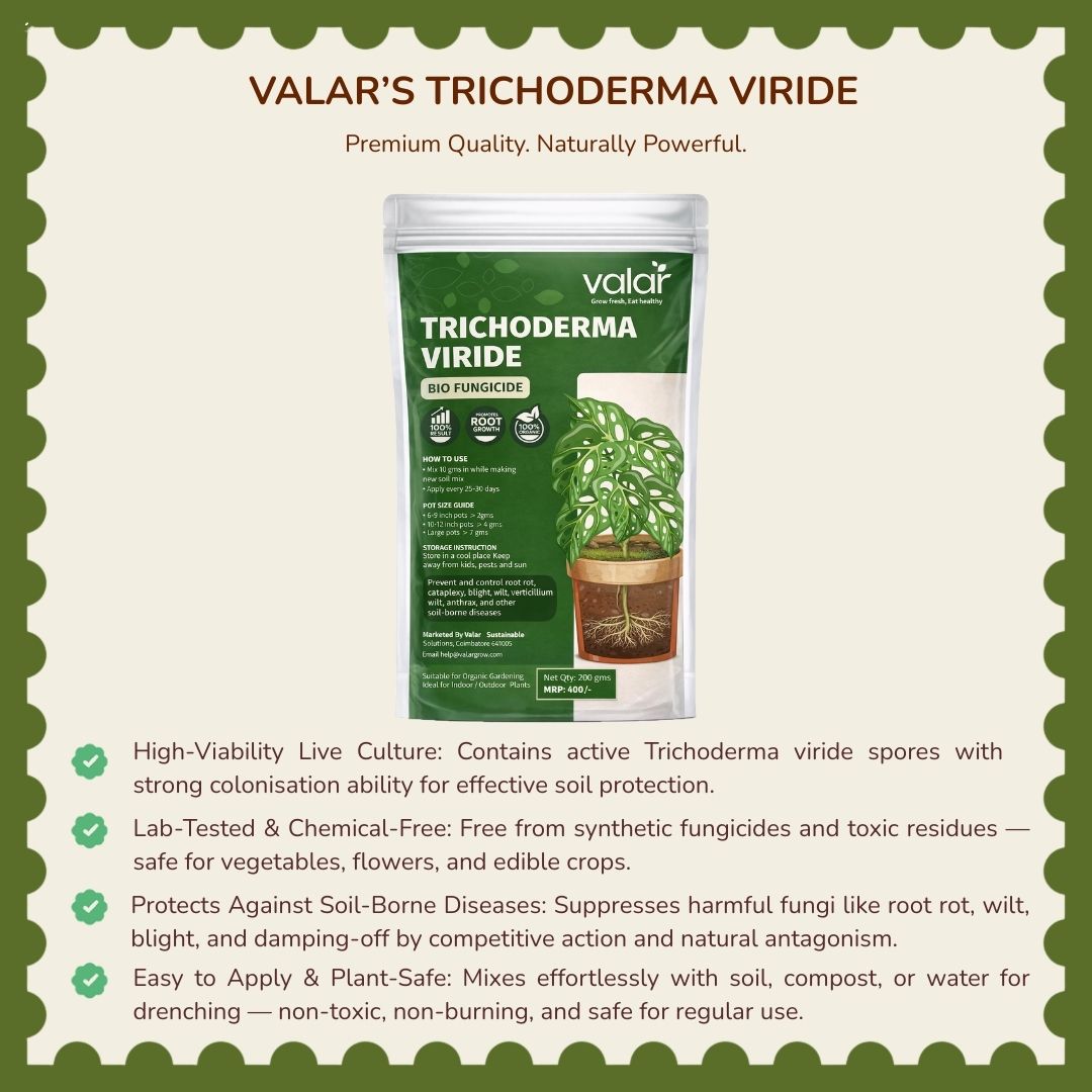 Trichoderma Viride