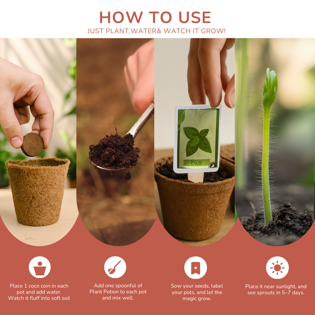 Annual Day Grow Kit