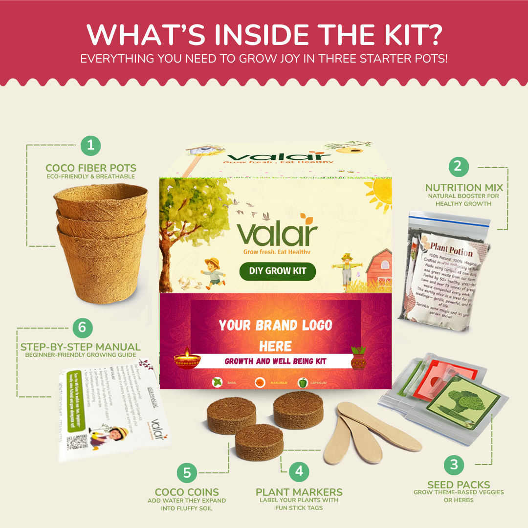 Diwali Gift Kit
