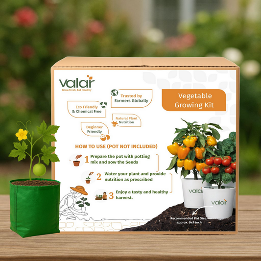 🌱  Valar Apple Gourd  | All-in-One Home Gardening Set 🌿 (Pack of 1 - Big) | Grow Bag  + Organic Seeds + Bio-Fertilizers