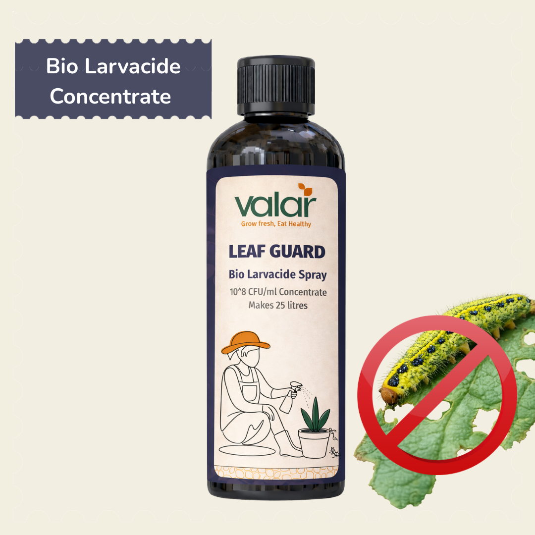 Bio Larvacide Concentrate ( Makes 25 liters )