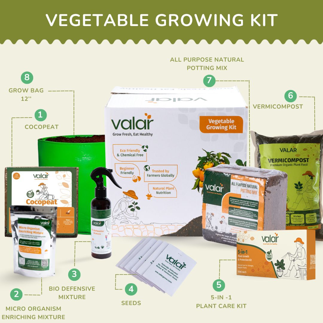 Beginner's Garden Kit (Pack of 3 & 6)