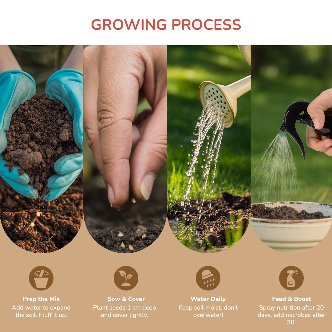 DIY Organic Basil Grow Kit