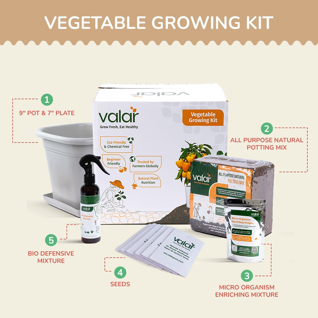 DIY Organic Basil Grow Kit