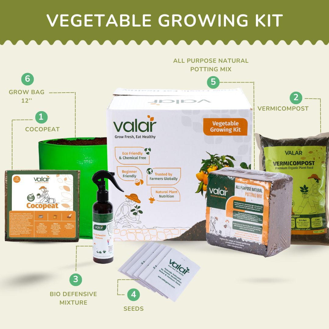 DIY African Togo Tomato Grow Kit