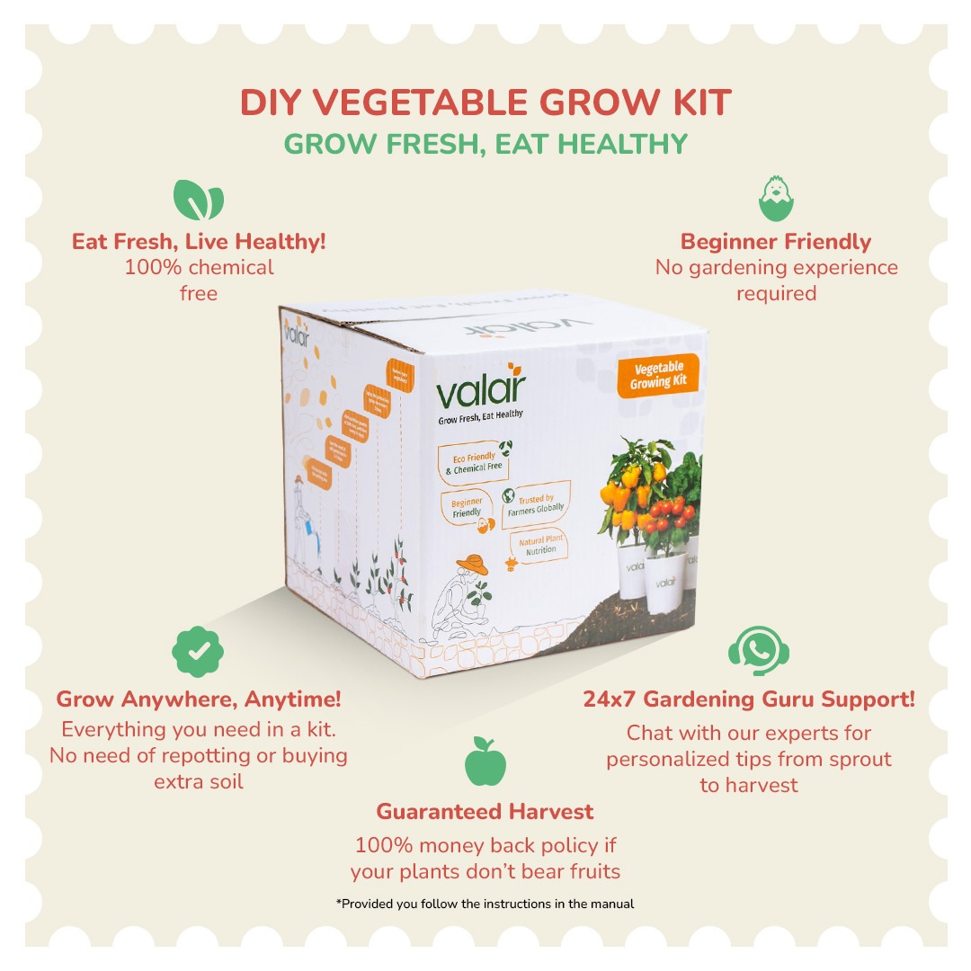 DIY Organic Okra Grow Kit