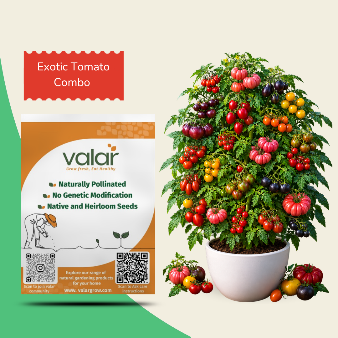 Organic Exotic Tomato Combo Mix (20+ Tomato Varieties)