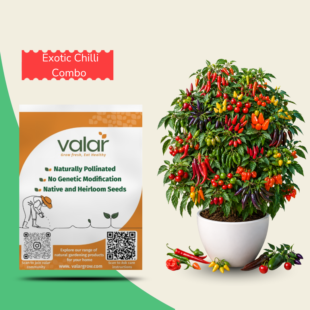 Organic Chilli Combo Mix (15 Chilli Varieties Seeds)