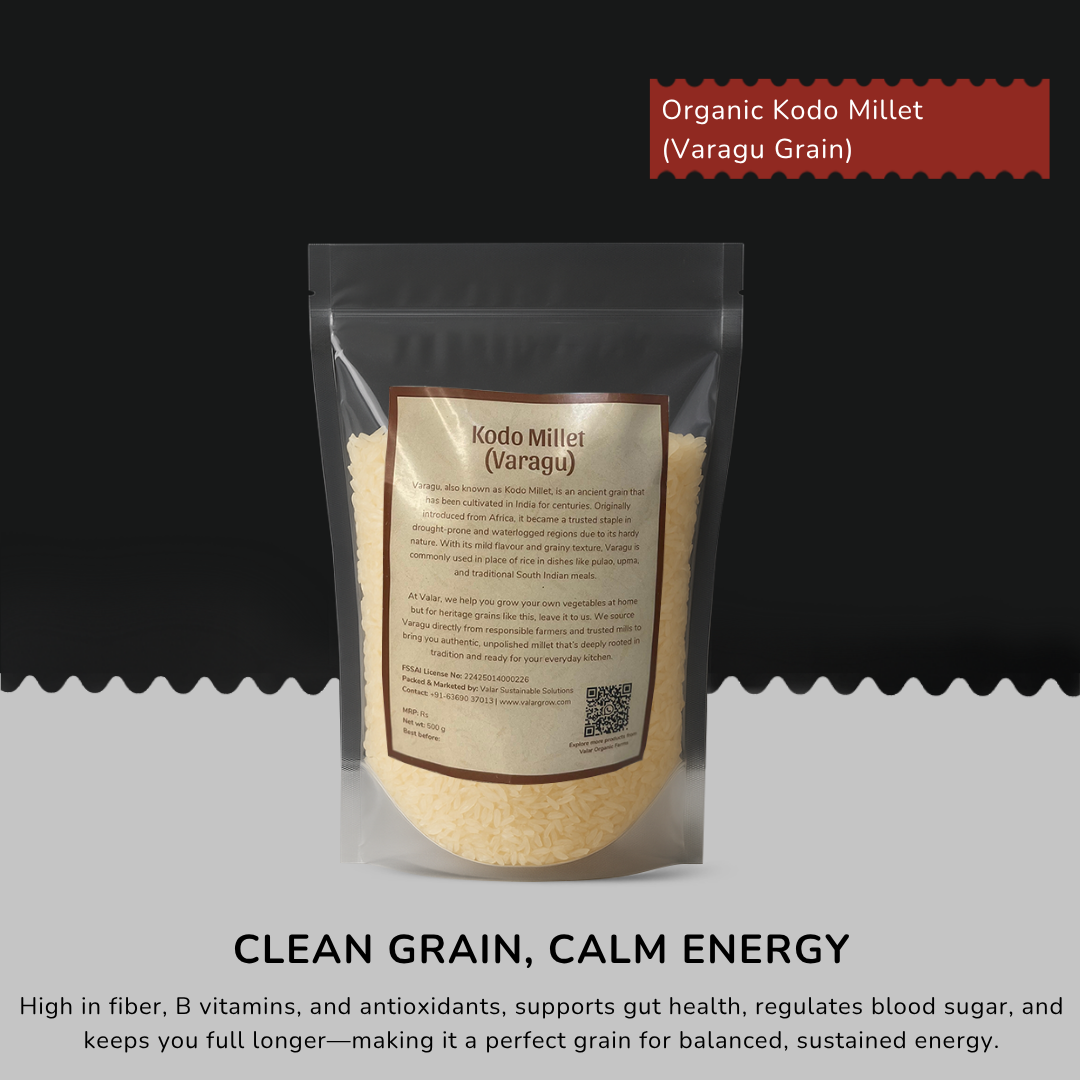 Valar Varagu (Kodo Millet) – 500g | Ancient Grain Superfood | High Protein & Fiber, Gluten-Free, Low Glycemic