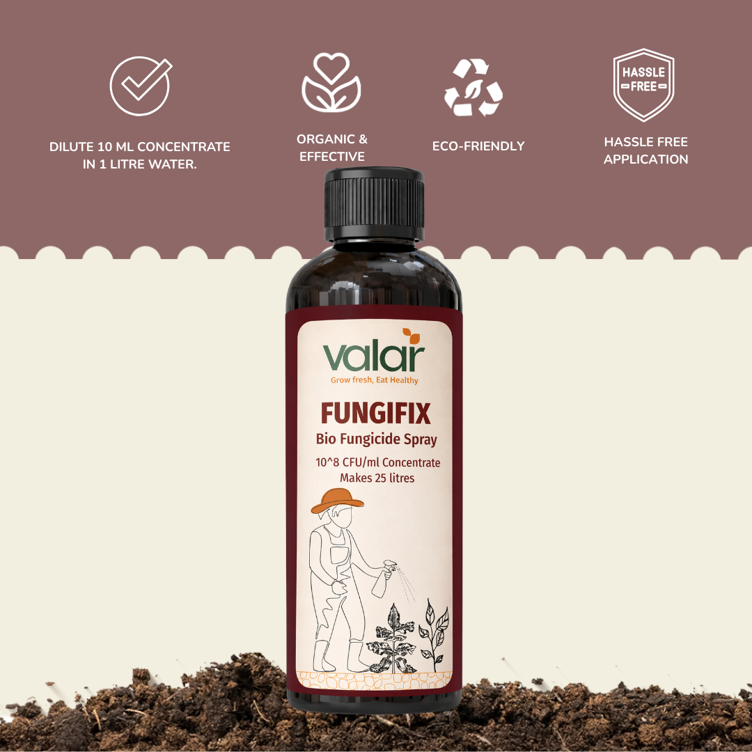 Bio Fungicide Concentrate ( Makes 25 liters )