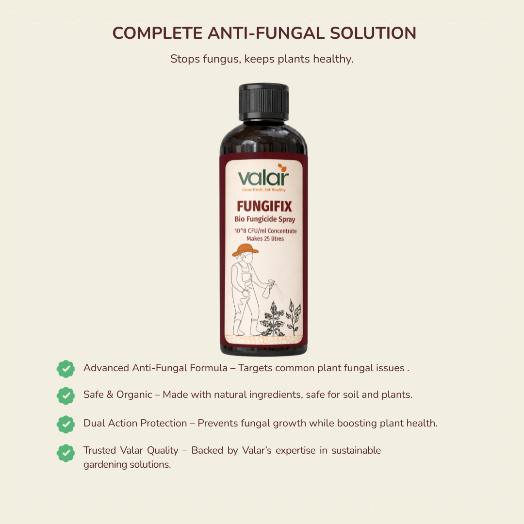3-in-1 Plant Protection Concentrate Bundle (Mealy Bug Control + Fungicide + Bio shield) (Makes up to 75 Litres)