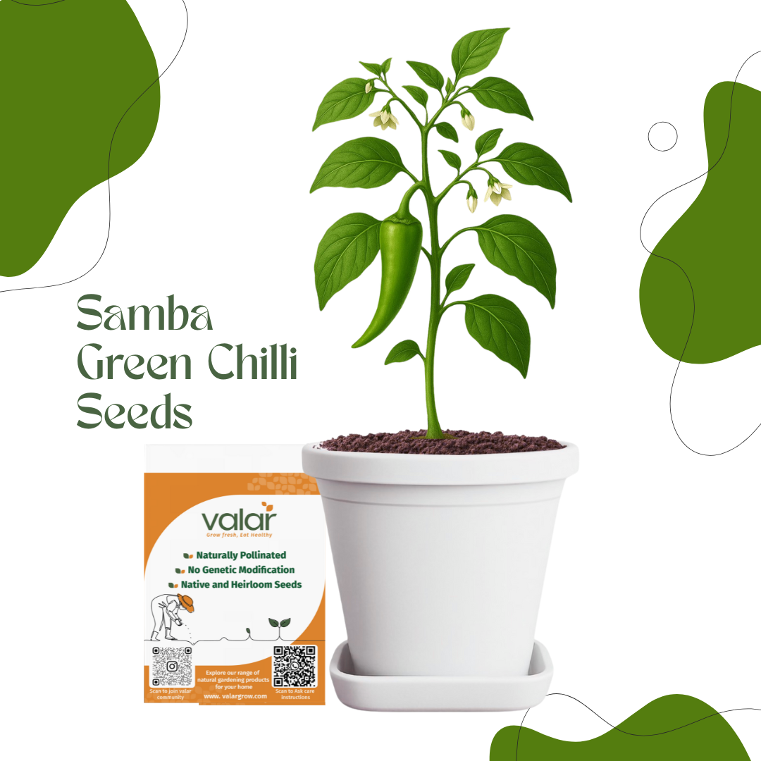 Organic Samba Green Chilli Seeds