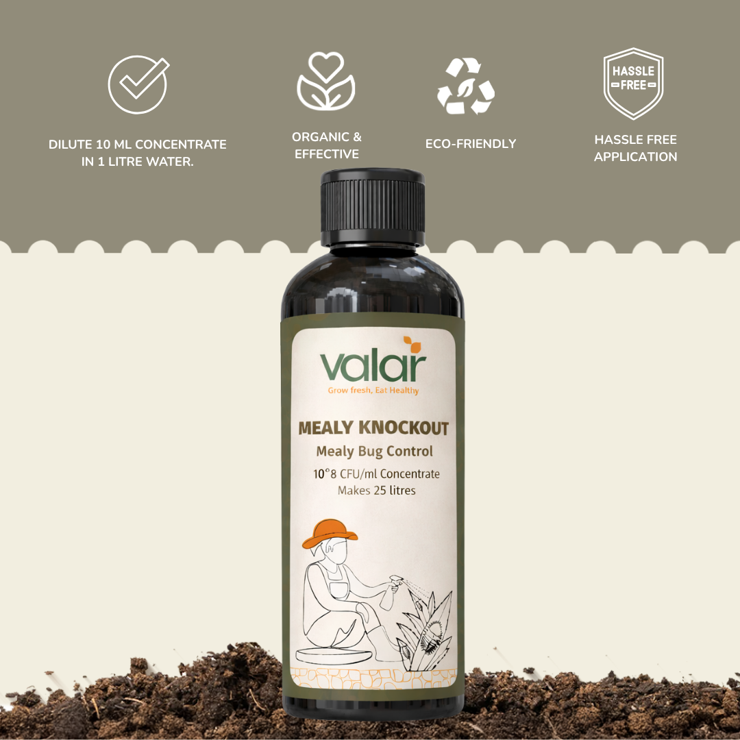 Mealy Bug Control- Concentrate (Makes 25 liters)