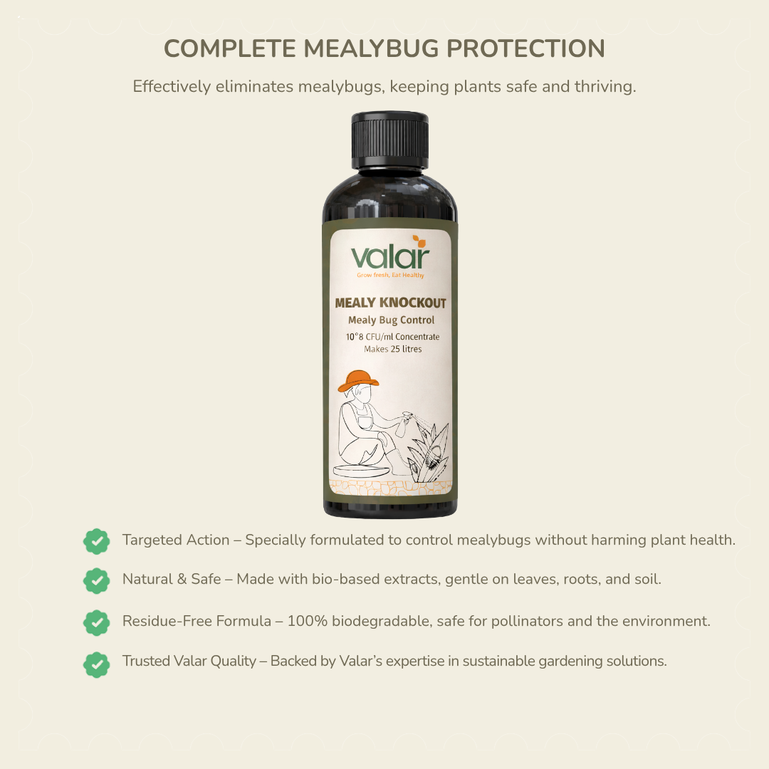 Mealy Bug Control- Concentrate (Makes 25 liters)