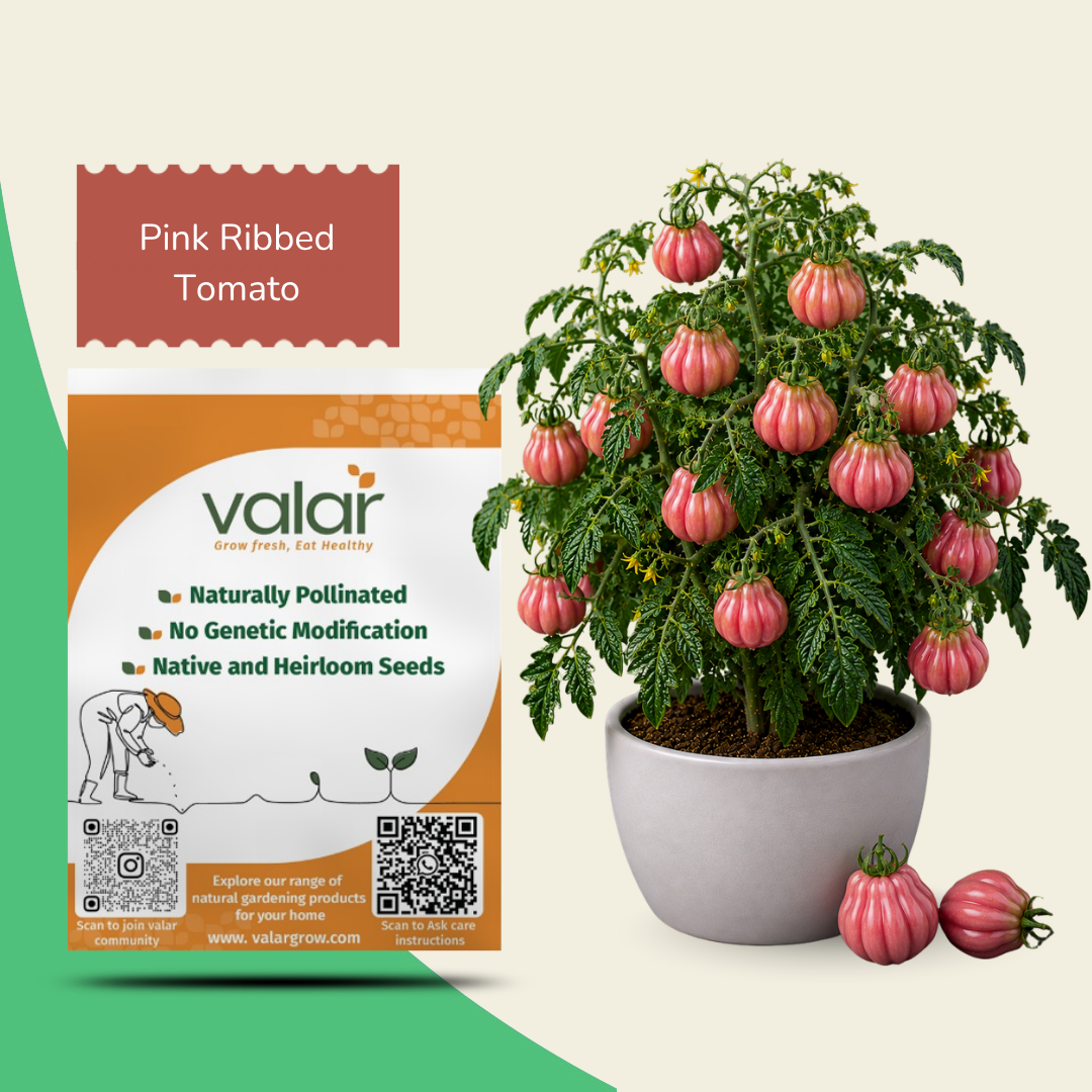Organic Pink Ribbed Tomato