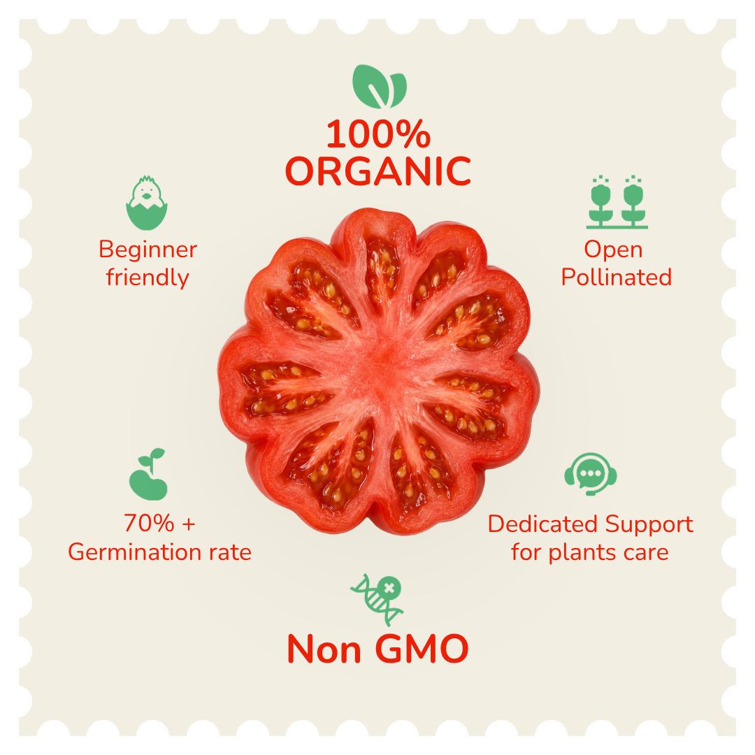 Organic Exotic Tomato Combo Mix (20+ Tomato Varieties)