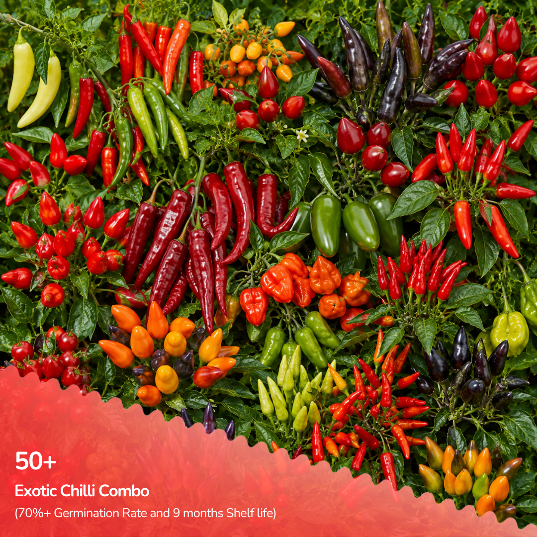Organic Chilli Combo Mix (15 Chilli Varieties Seeds)