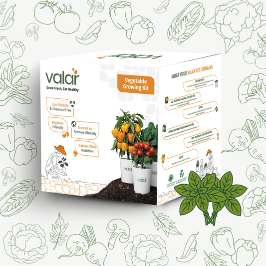 🌱 Valar Basil Growing Kit | All-in-One Home Gardening Set 🌿 (Pack of 1 - Big) | Reusable Pot + Organic Seeds + Fertilizers
